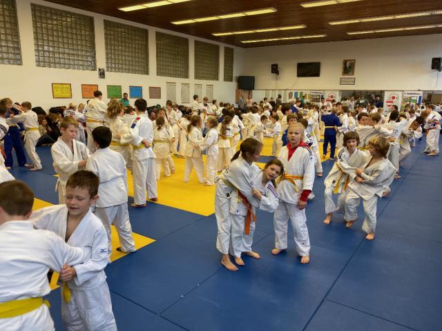 Turnaj přípravek_11 2019_0.jpg